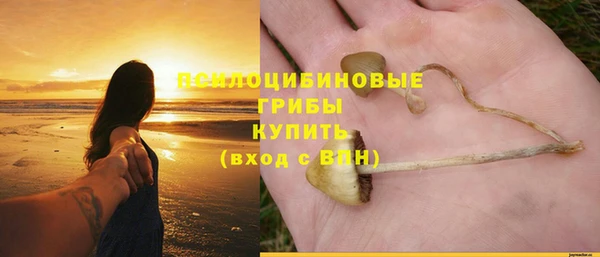 соль ск Богданович