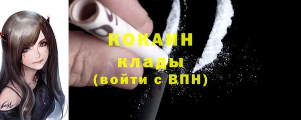 соль ск Богданович