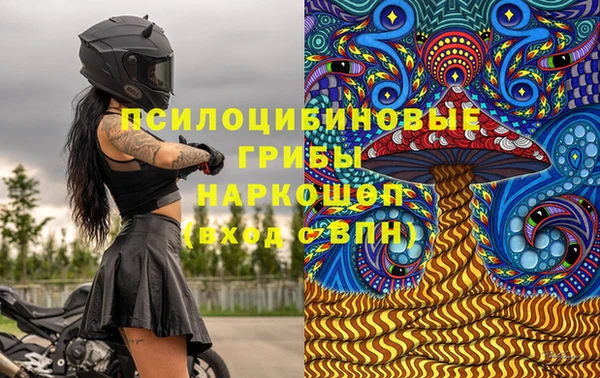 соль ск Богданович