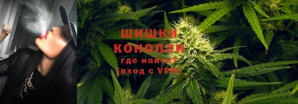 соль ск Богородск