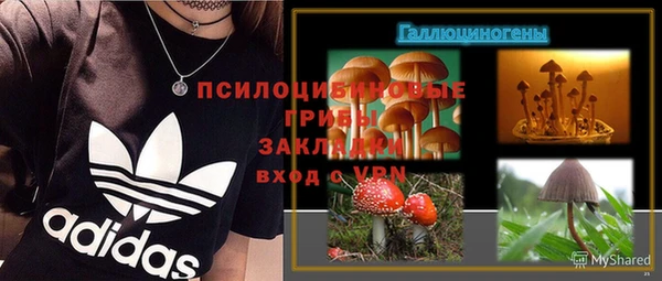 соль ск Богданович