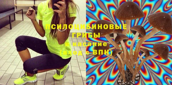 соль ск Богданович