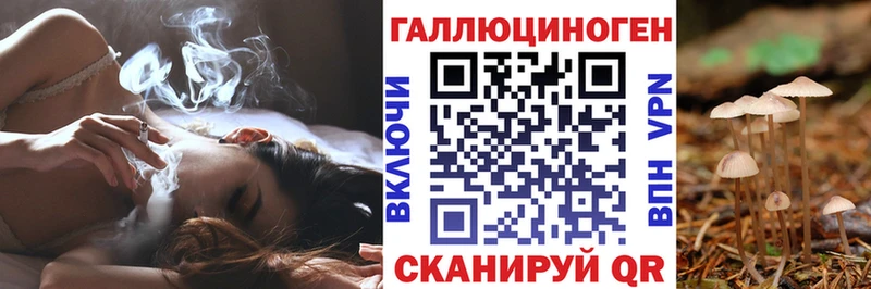 Купить где  Балашов  Псилоцибиновые грибы ЛСД 